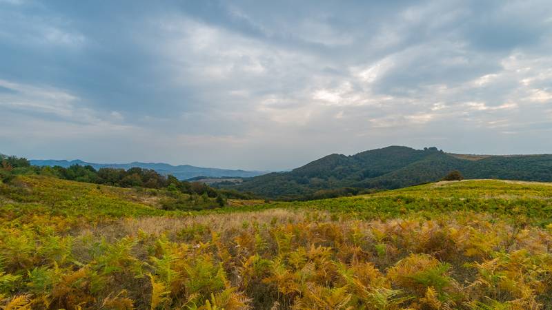 Terra Romana